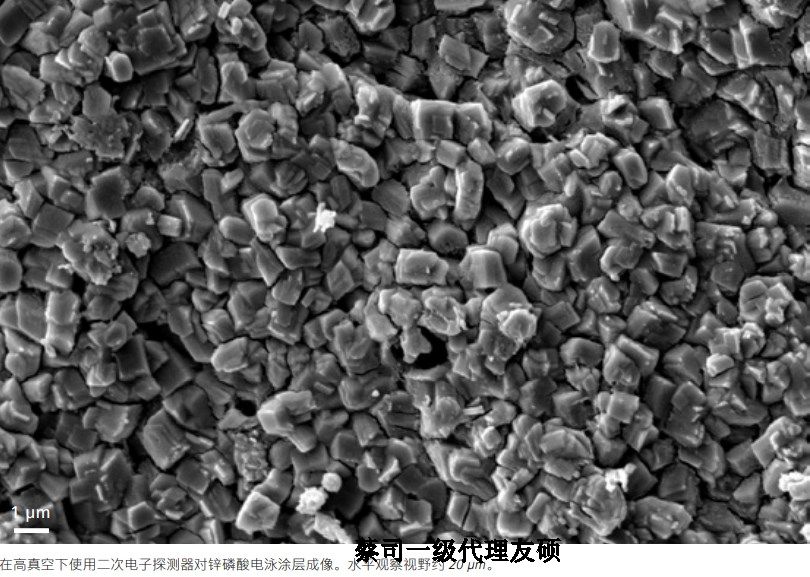 清远蔡司清远扫描电镜