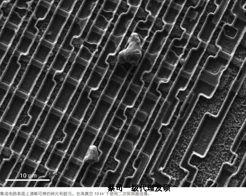 清远蔡司清远扫描电镜EVO