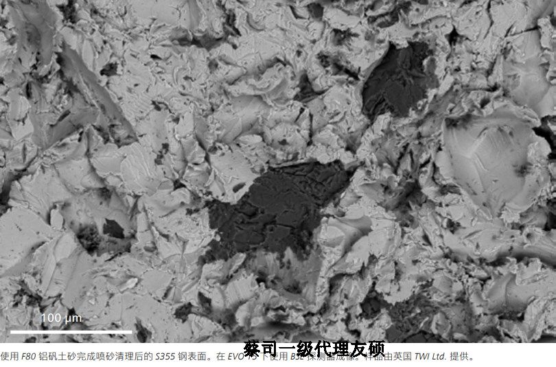 清远蔡司清远扫描电镜EVO