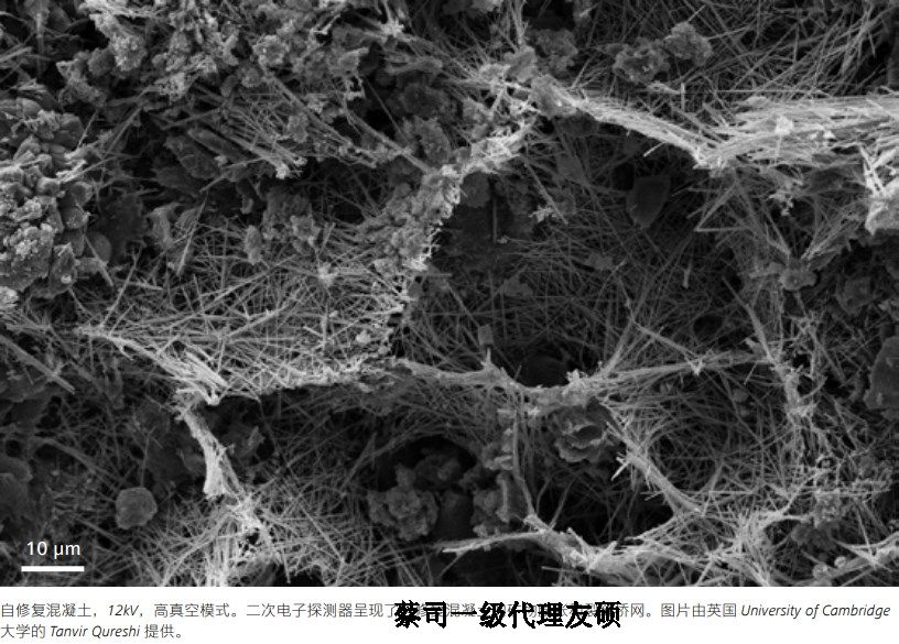 清远蔡司清远扫描电镜