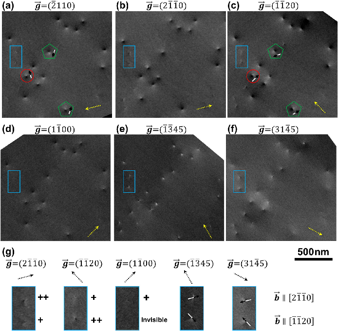 场发射清远扫描电镜