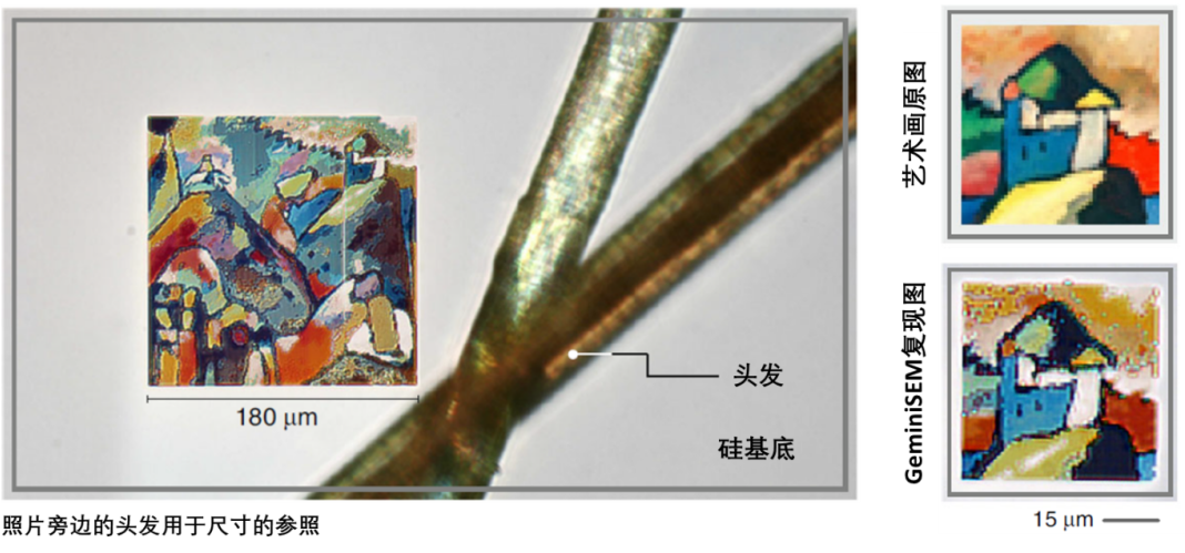 清远蔡司清远扫描电镜