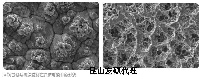 清远蔡司清远扫描电镜