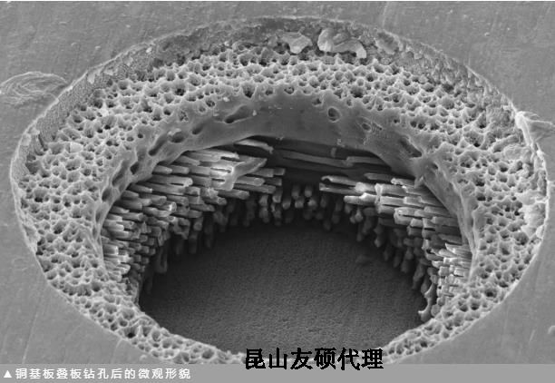 清远蔡司清远扫描电镜